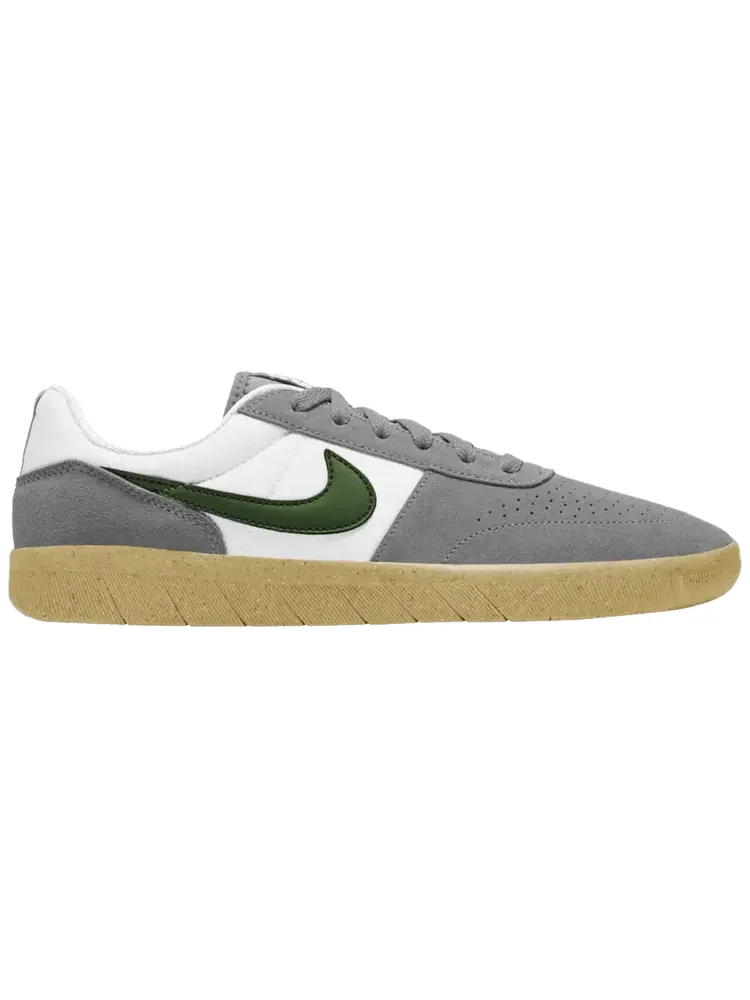 Кроссовки Nike Team Classic SB 'Particle Grey Forest Green' — изображение 1 из 1, серый