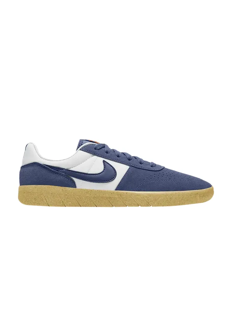 Кроссовки Nike Team Classic SB — изображение 1 из 1, синий