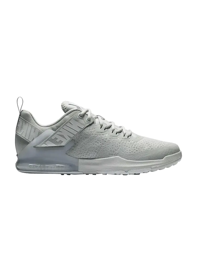 Кроссовки Zoom Domination TR 2 'Pure Platinum' — изображение 1 из 1, платиновый