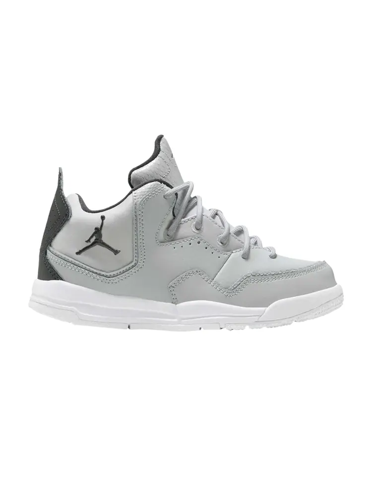 Кроссовки Air Jordan Jordan Courtside 23 PS — изображение 1 из 1, серый