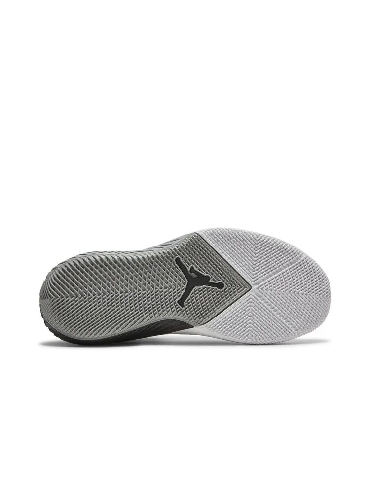 Кроссовки Air Jordan Why Not Zer0.1 Low TB 'Metallic Silver' — изображение 4 из 4, серый