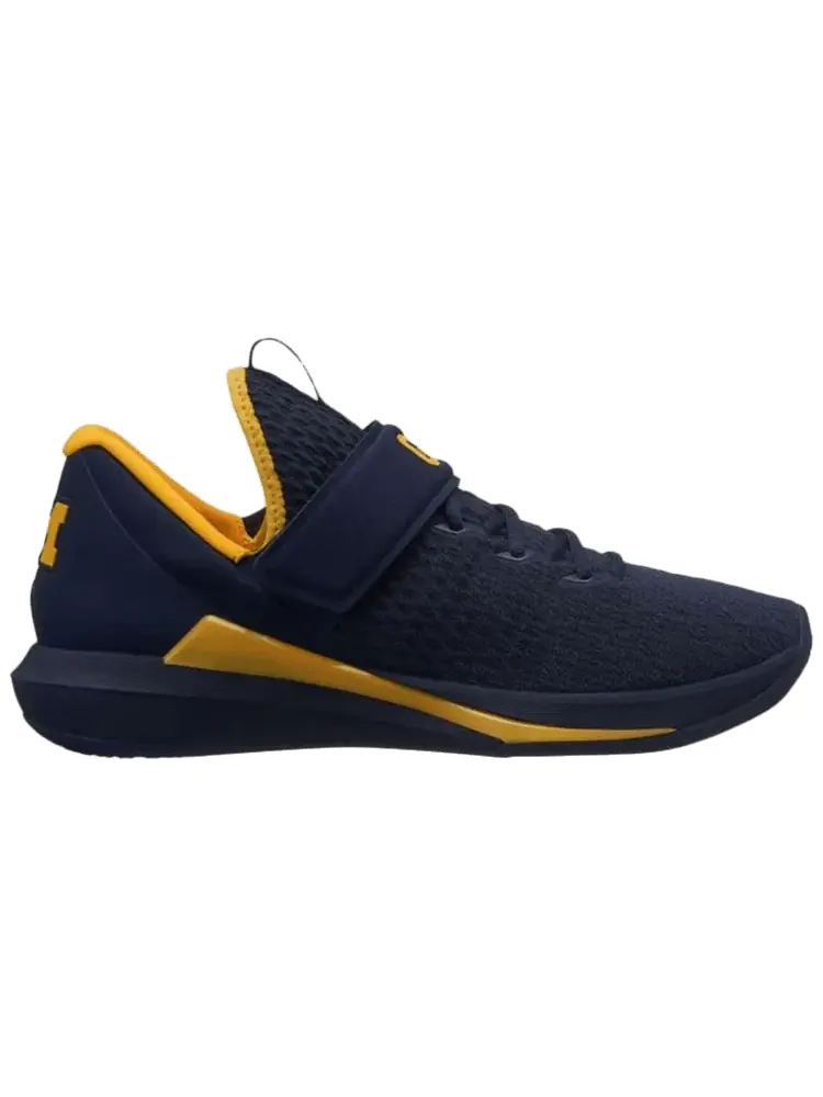 Кроссовки Air Jordan Jordan Trainer 3 'Michigan' — изображение 1 из 1, синий