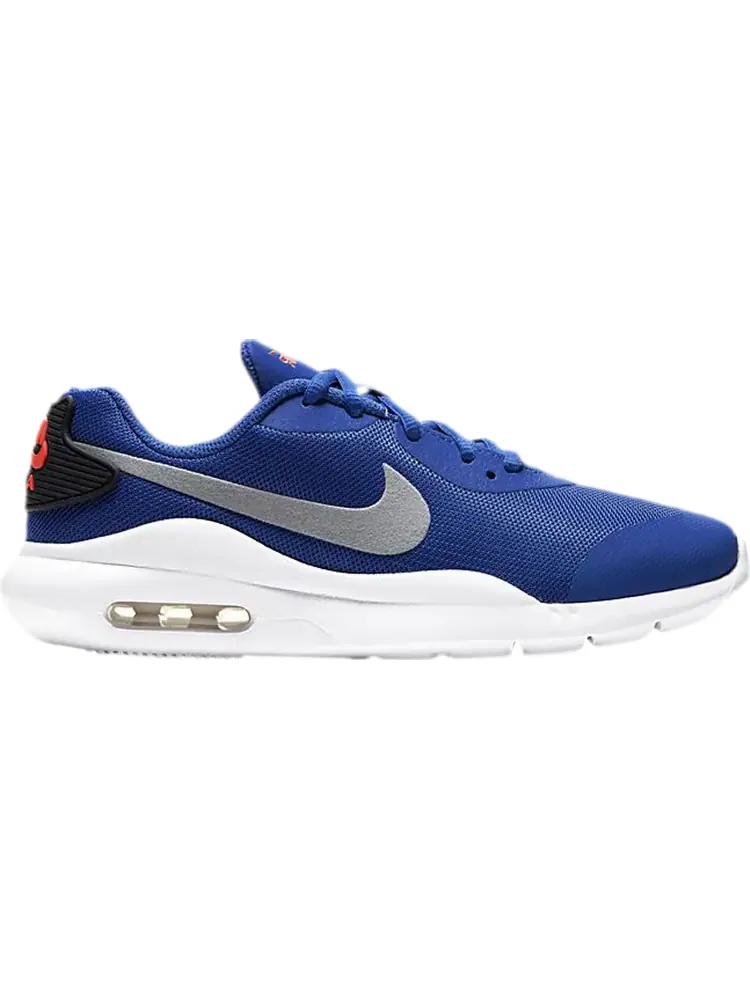 Кроссовки Nike Air Max Oketo GS 'Royal Metallic Silver' — изображение 1 из 1, синий