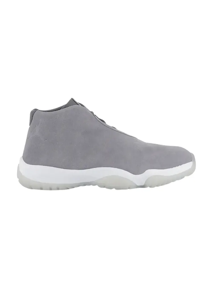 Кроссовки Air Jordan Jordan Future 'Light Carbon' — изображение 1 из 1, серый