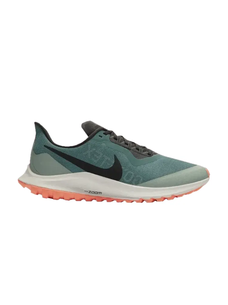 Кроссовки Nike Wmns Air Zoom Pegasus 36 Trail GTX, Bicoastal — изображение 1 из 1, зеленый