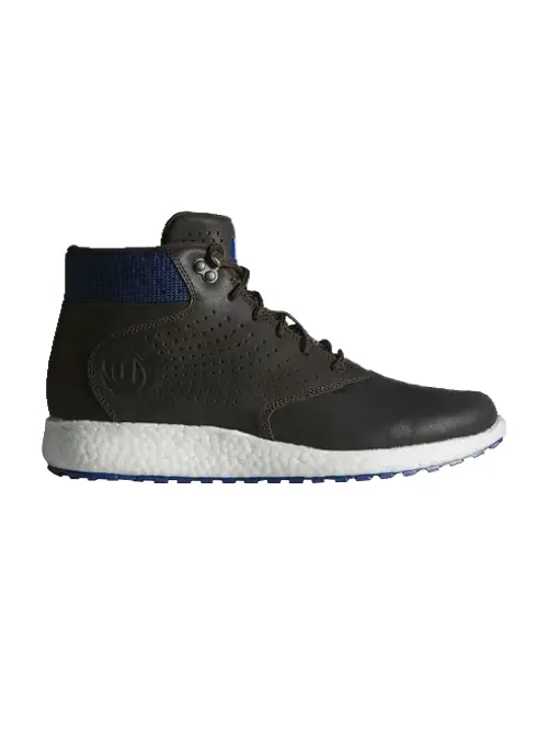 Кроссовки D Rose Lakeshore Boost — изображение 1 из 1, коричневый