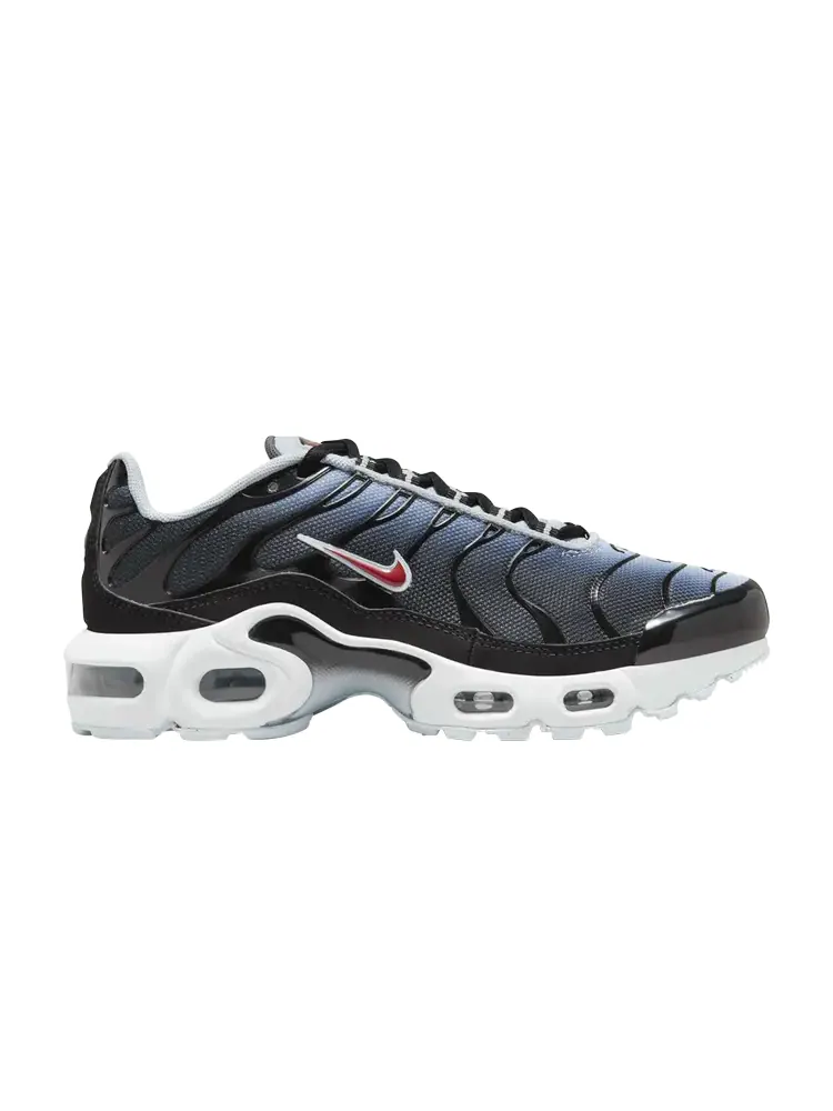 Кроссовки Air Max Plus GS — изображение 1 из 1, черный синий