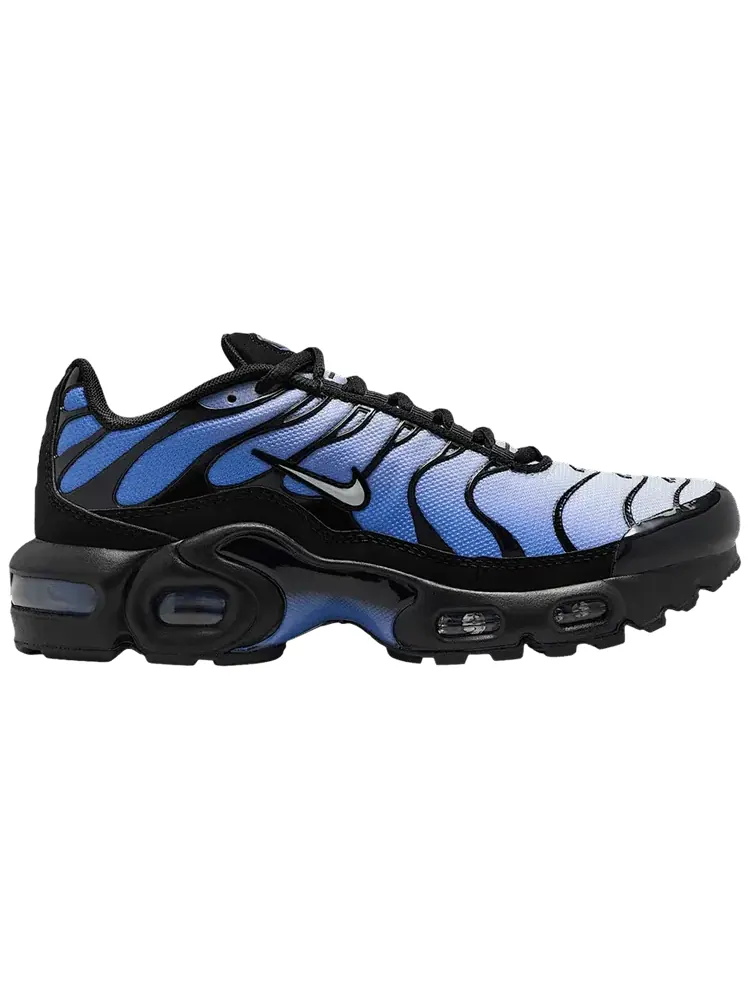 Кроссовки Nike Air Max Plus GS — изображение 1 из 1, синий