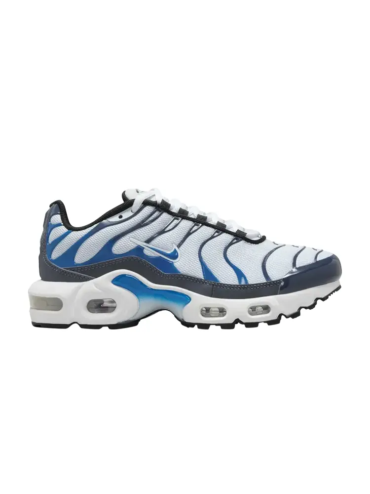 Кроссовки Nike Air Max Plus GS — изображение 1 из 1, синий
