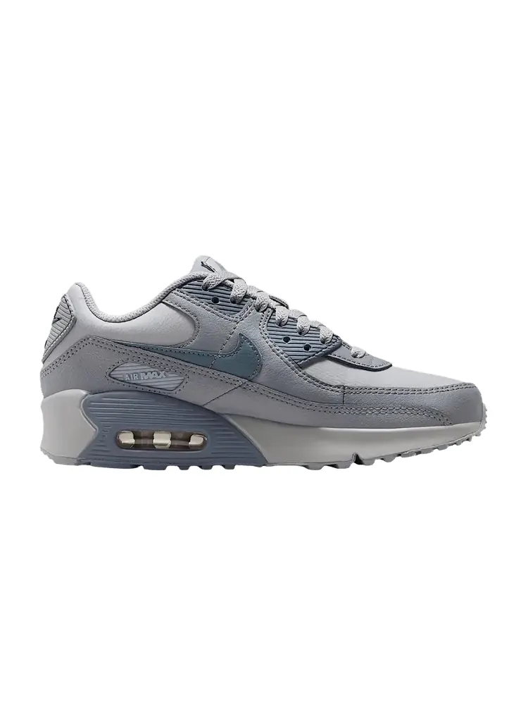 Кроссовки Nike Air Max 90 LTR GS 'Wolf Grey Stealth' — изображение 1 из 1, серый