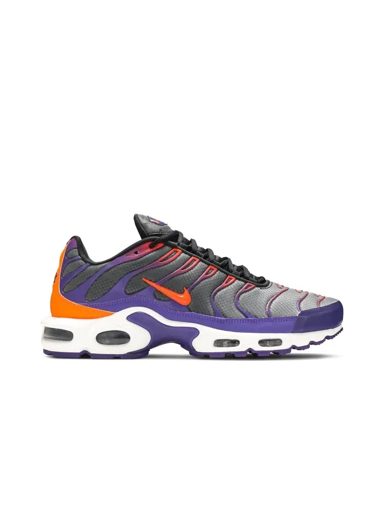 Кроссовки Nike Air Max Plus 'Color Flip' — изображение 1 из 4, мульти