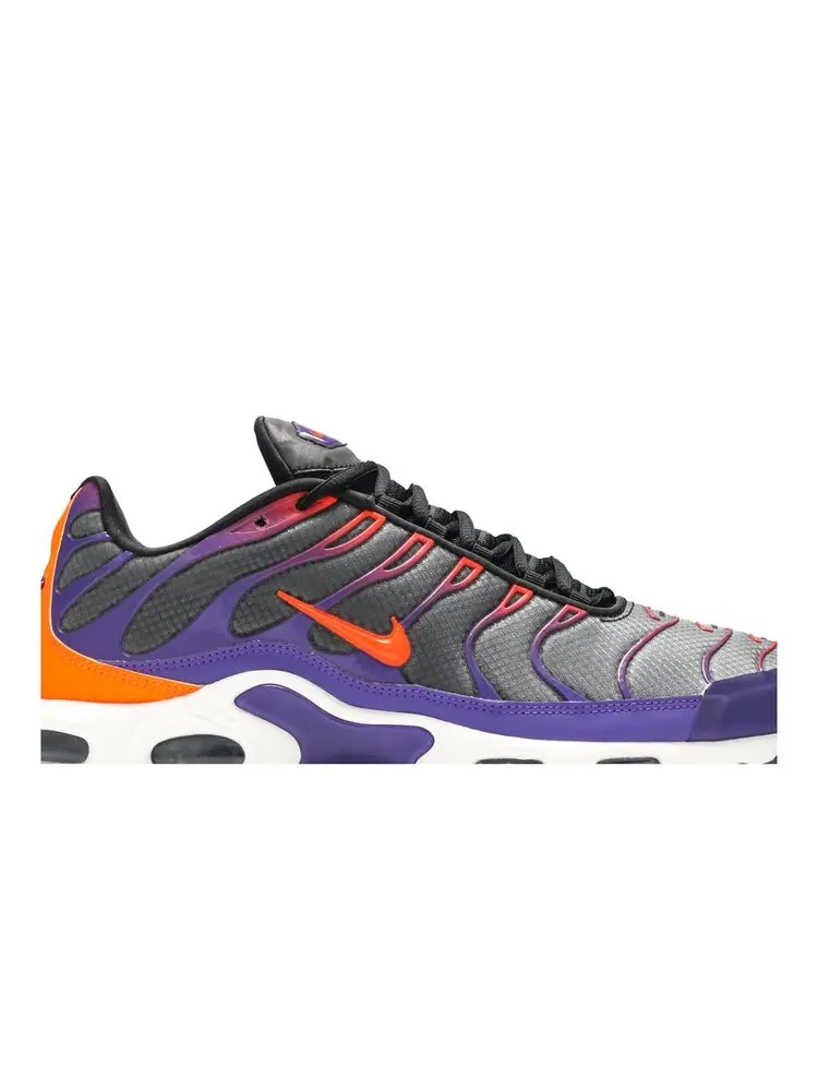 Кроссовки Nike Air Max Plus 'Color Flip' — изображение 2 из 4, мульти