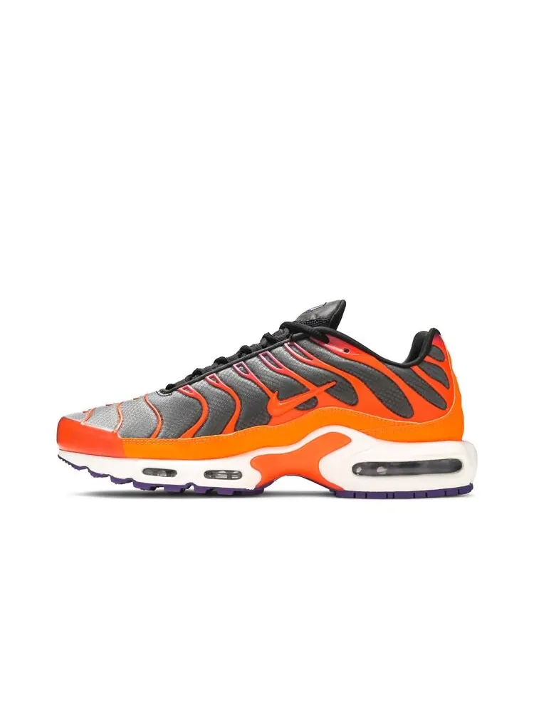 Кроссовки Nike Air Max Plus 'Color Flip' — изображение 3 из 4, мульти