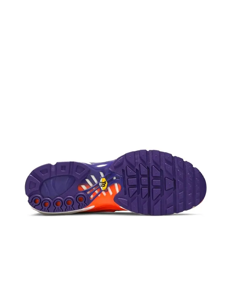 Кроссовки Nike Air Max Plus 'Color Flip' — изображение 4 из 4, мульти