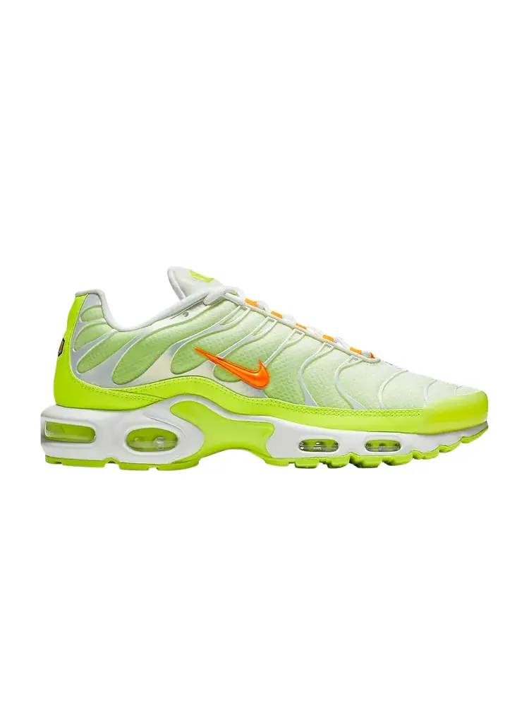 Кроссовки Nike Air Max Plus 'Color Flip' — изображение 1 из 1, мульти