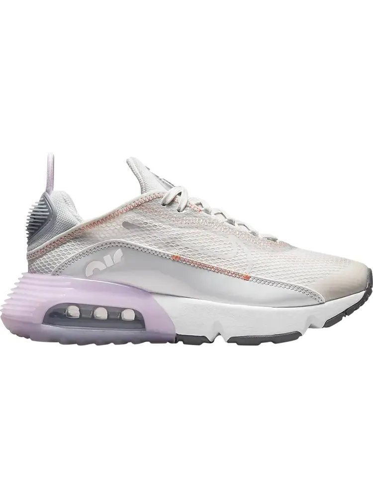 Кроссовки Nike Air Max 2090 GS 'Platinum Tint Light Violet' — изображение 1 из 1, серый