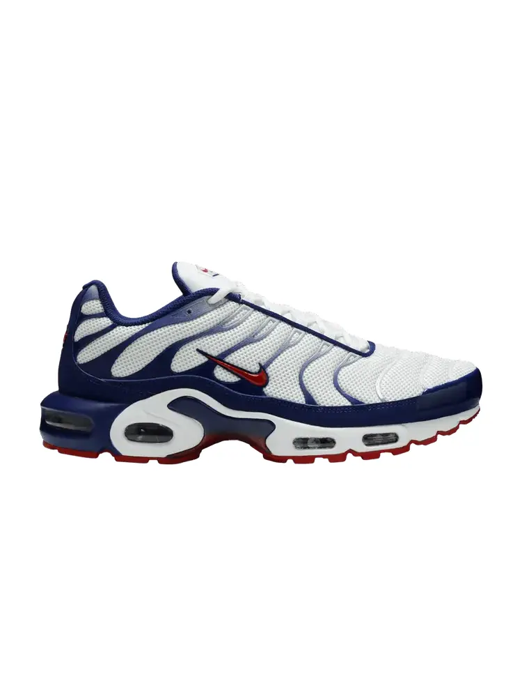 Кроссовки Nike Air Max Plus 'Red White Blue' — изображение 1 из 9, синий