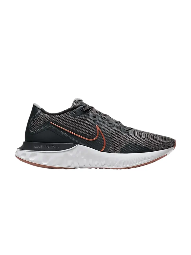 Кроссовки Nike Renew Run 'Iron Grey Copper' — изображение 1 из 1