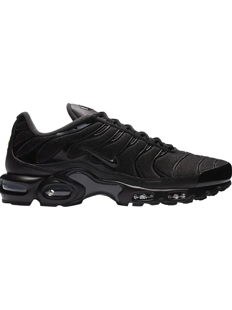 Кроссовки Nike Air Max Plus 'Black Dark Smoke Grey' — изображение 1 из 1, черный