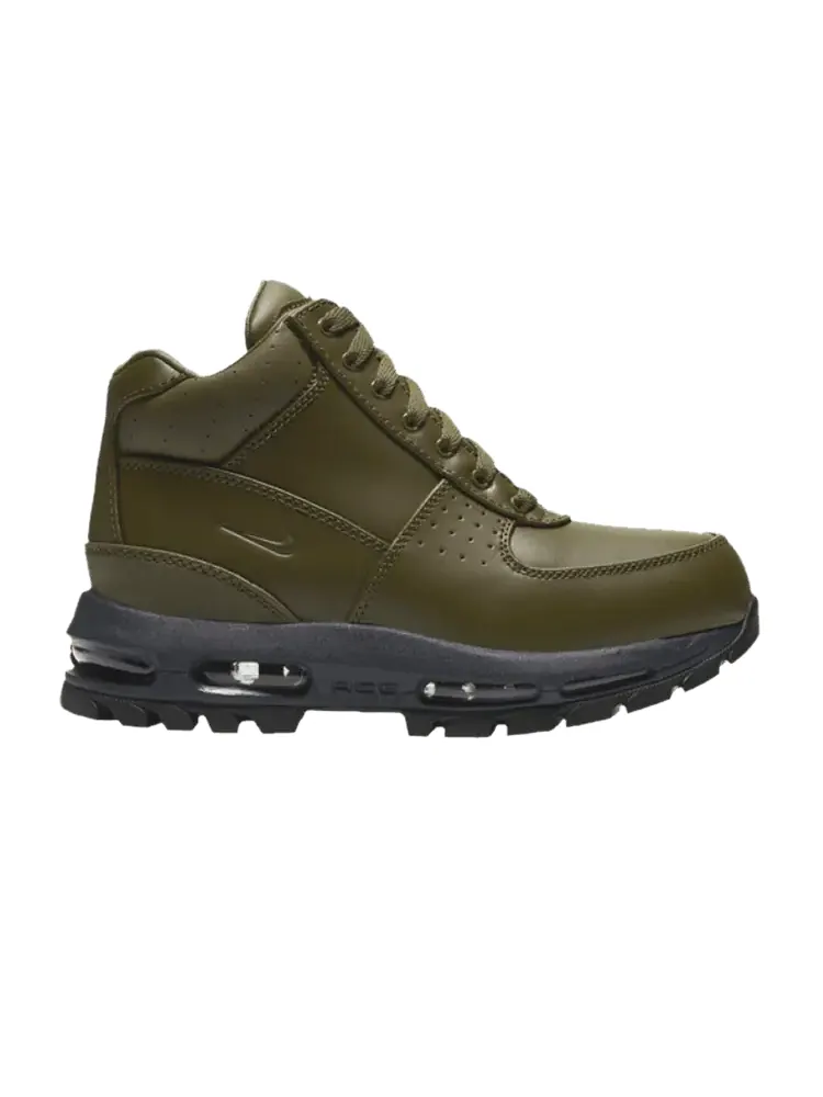 Ботинки Nike Air Max Goadome GS 'Olive Canvas' — изображение 1 из 1, оливковый/оливковый