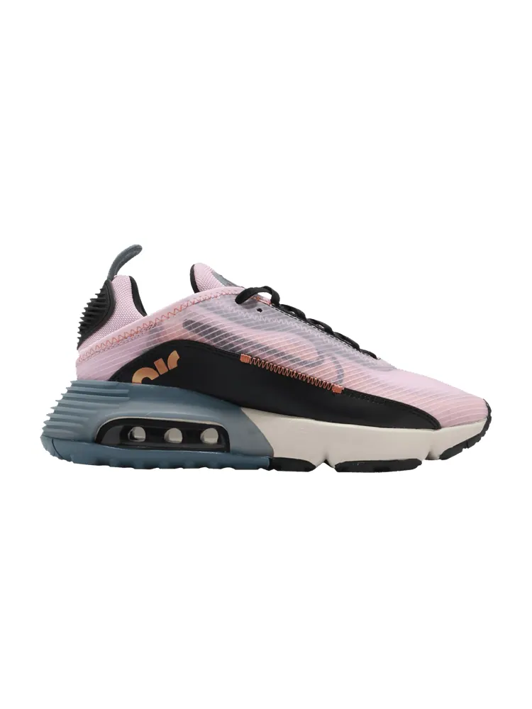 Кроссовки Nike Wmns Air Max 2090 'Light Arctic Pink' — изображение 1 из 1