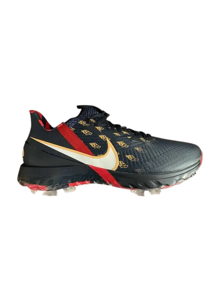 Кроссовки Nike Air Zoom Infinity Tour Golf NRG — изображение 1 из 1, обсидиан