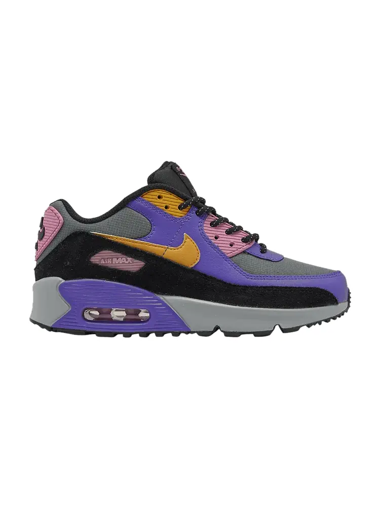 Кроссовки Nike Air Max 90 QS GS 'ACG' — изображение 1 из 1, синий