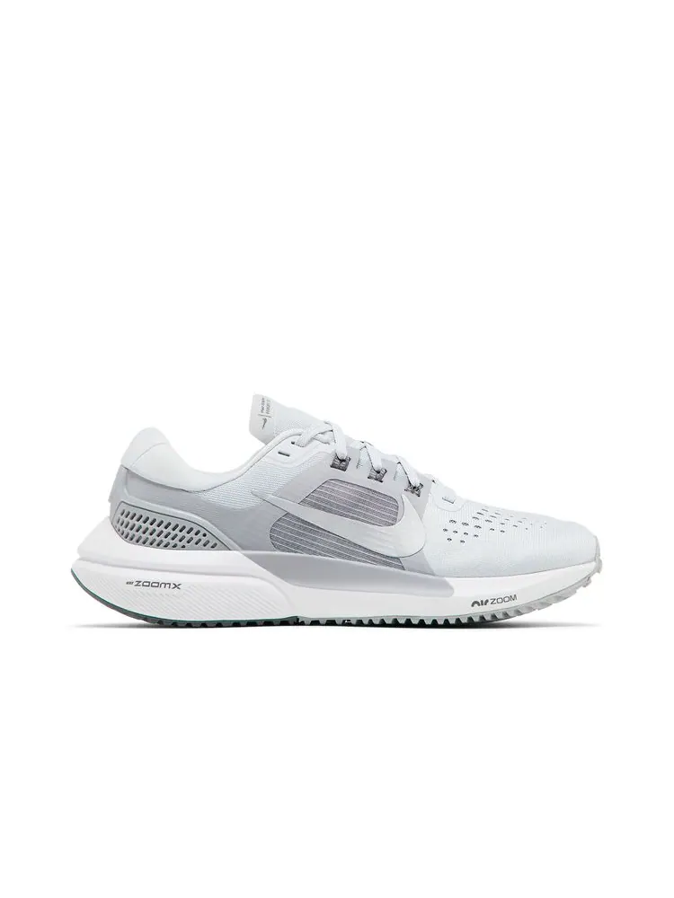 Кроссовки Wmns Air Zoom Vomero 15 'Pure Platinum Metallic Silver' — изображение 1 из 8