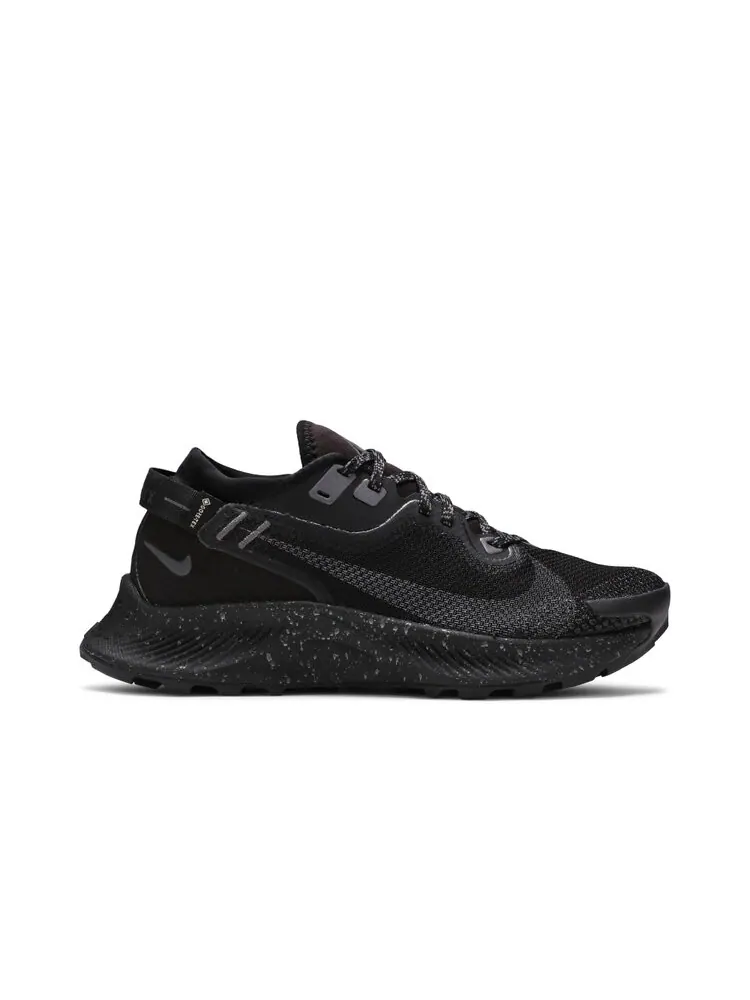 Кроссовки Nike Wmns Pegasus Trail 2 Gore-Tex — изображение 1 из 4, черный
