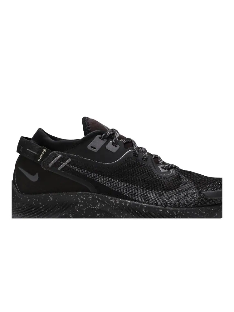 Кроссовки Nike Wmns Pegasus Trail 2 Gore-Tex — изображение 2 из 4, черный