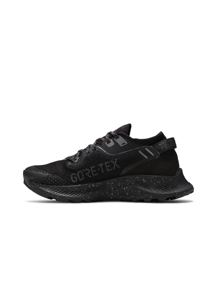 Кроссовки Nike Wmns Pegasus Trail 2 Gore-Tex — изображение 3 из 4, черный
