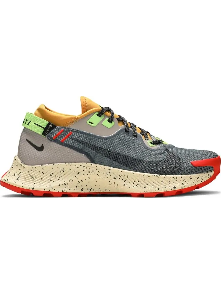 Кроссовки Nike Wmns Pegasus Trail 2 GTX 'Smoke Grey Bucktan' — изображение 1 из 8, серый