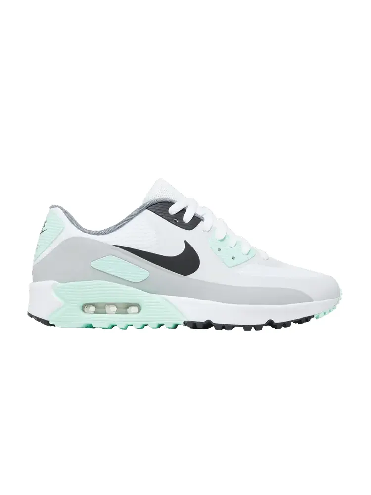 Кроссовки Nike Air Max 90 Golf 'Smoke Grey Light Green' — изображение 1 из 9