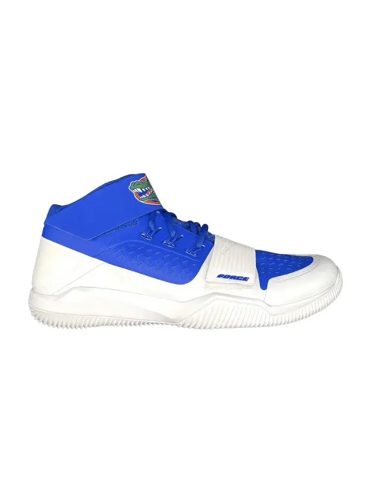 Кроссовки Air Jordan Force Savage TF Mid SMU, Florida Gators PE — изображение 1 из 1, синий