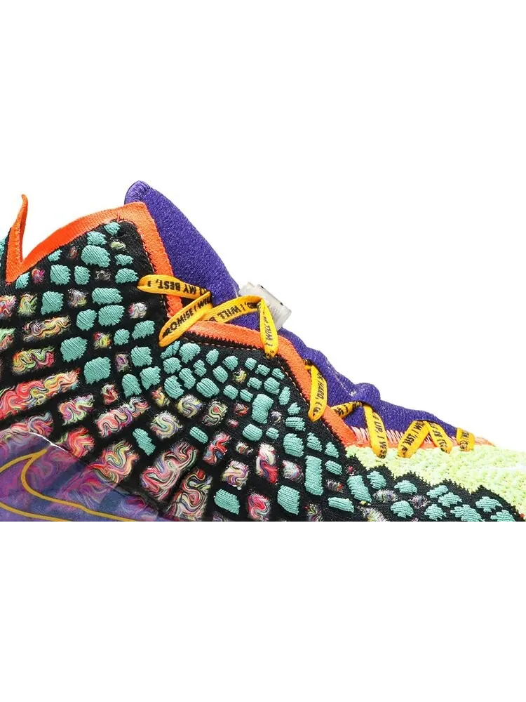Кроссовки Nike LeBron 17 'What The' — изображение 2 из 11, мульти