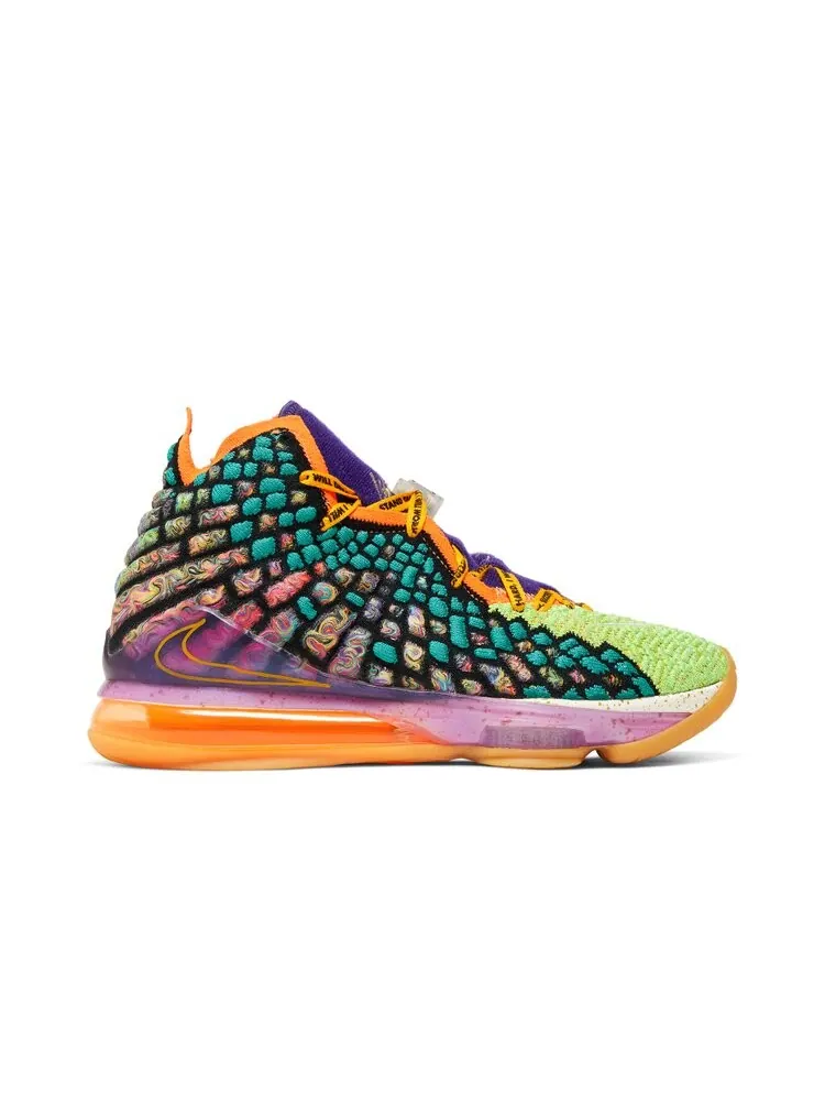 Кроссовки Nike LeBron 17 EP — изображение 1 из 4, мульти