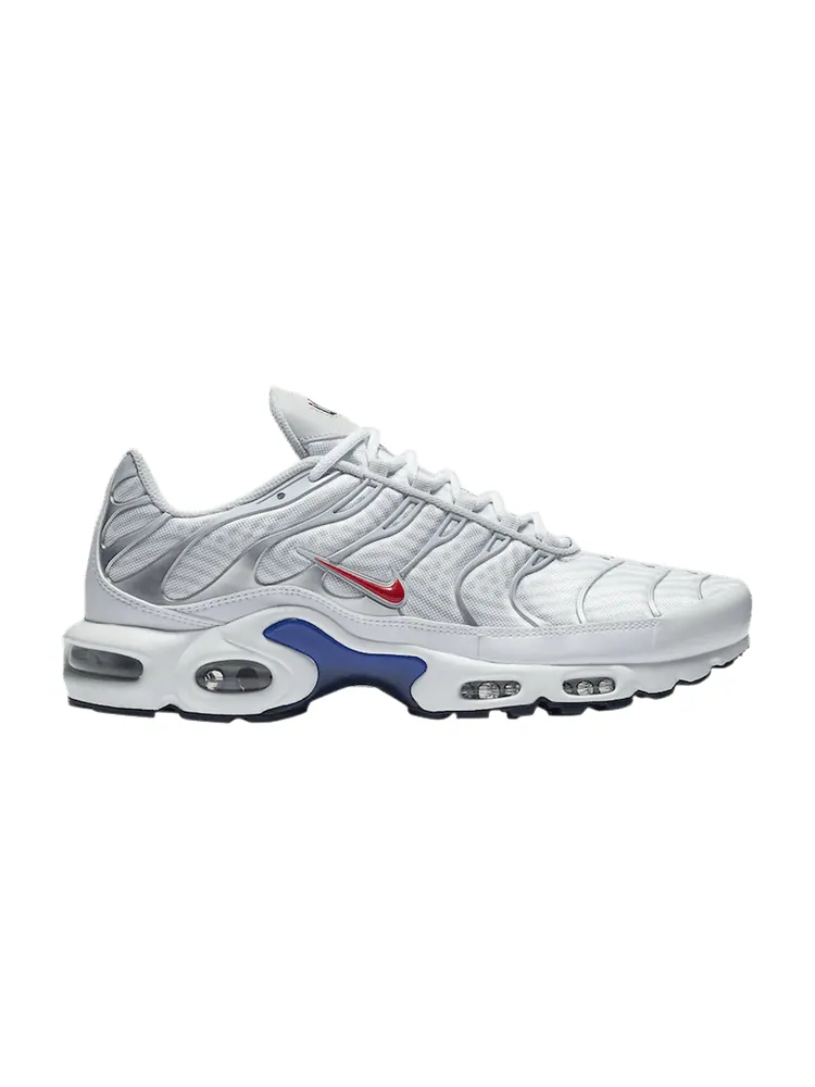 Кроссовки Nike Air Max Plus 'Euro Tour - Particle Grey' — изображение 1 из 1, серый/черный