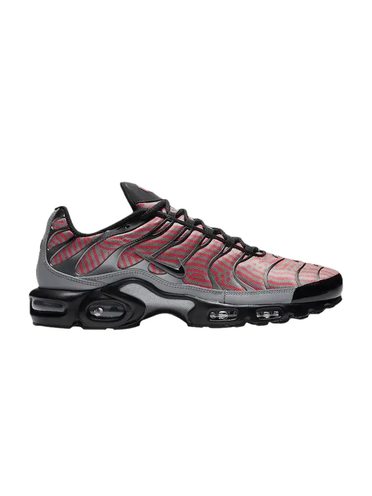 Кроссовки Nike Air Max Plus 'Euro Tour' — изображение 1 из 1, красный