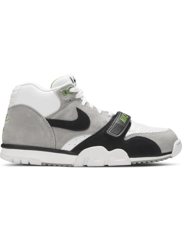 Кроссовки Nike Air Trainer 1 SB Retro 'Chlorophyll' 2020 — изображение 1 из 8, серый