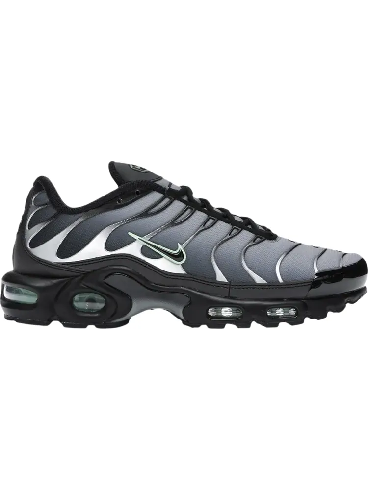 Кроссовки Nike Air Max Plus 'Particle Grey Vapour Green' — изображение 1 из 1, серый