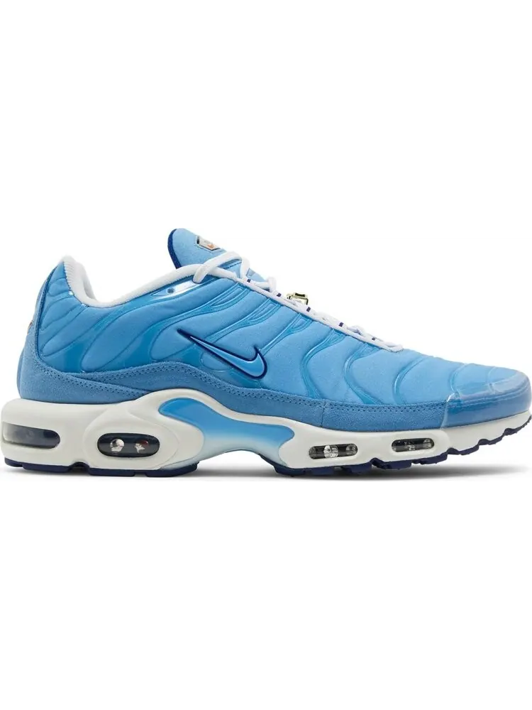 Кроссовки Nike Air Max Plus SE 'First Use - University Blue' — изображение 1 из 8, синий
