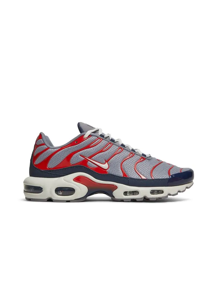 Кроссовки Air Max Plus 'Grey USA' — изображение 1 из 8, серый