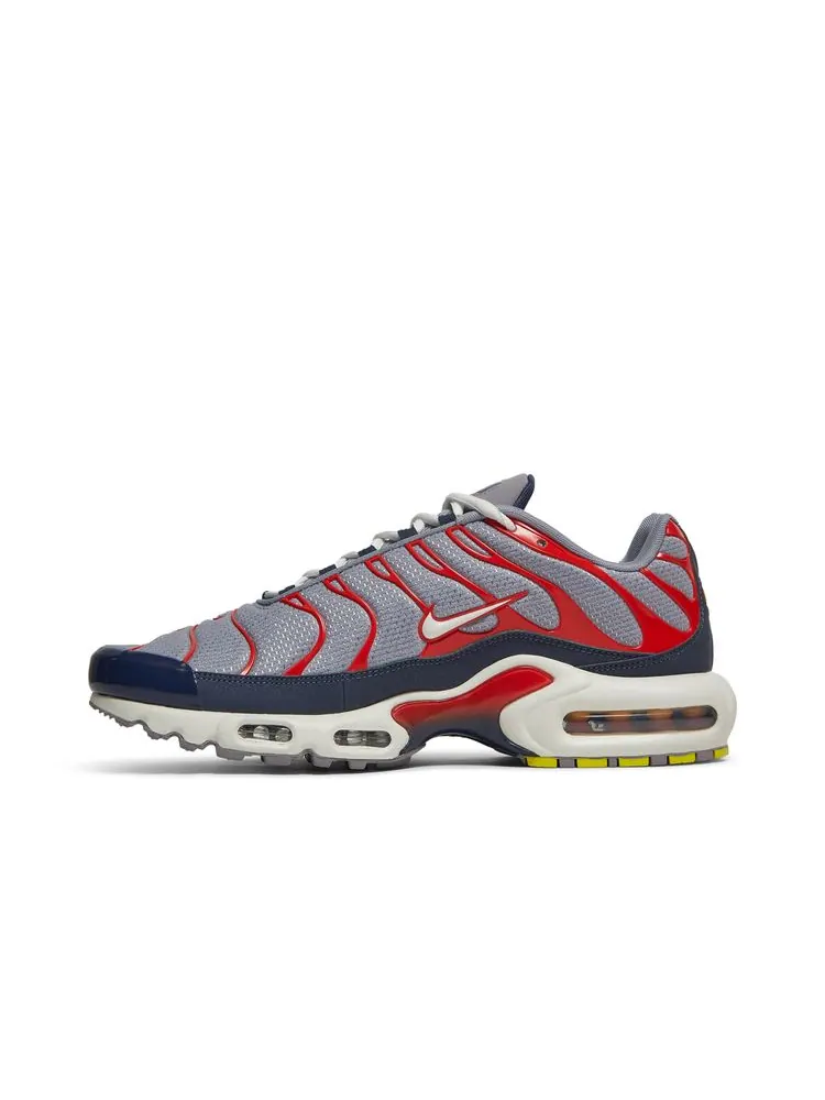 Кроссовки Air Max Plus 'Grey USA' — изображение 3 из 8, серый