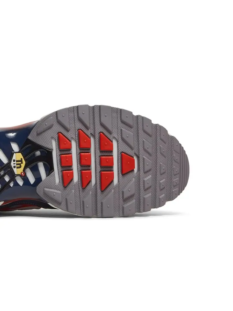 Кроссовки Air Max Plus 'Grey USA' — изображение 5 из 8, серый