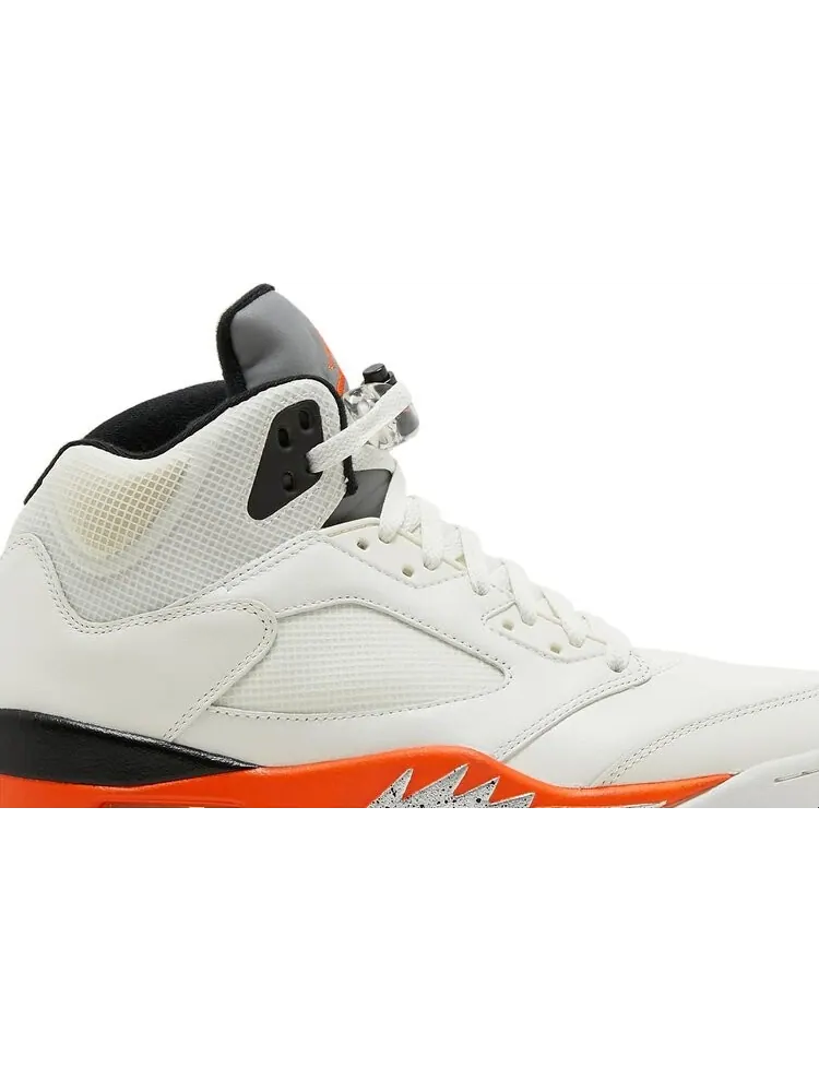 Кроссовки Air Jordan 5 Retro Shattered Backboard — изображение 2 из 10, белый