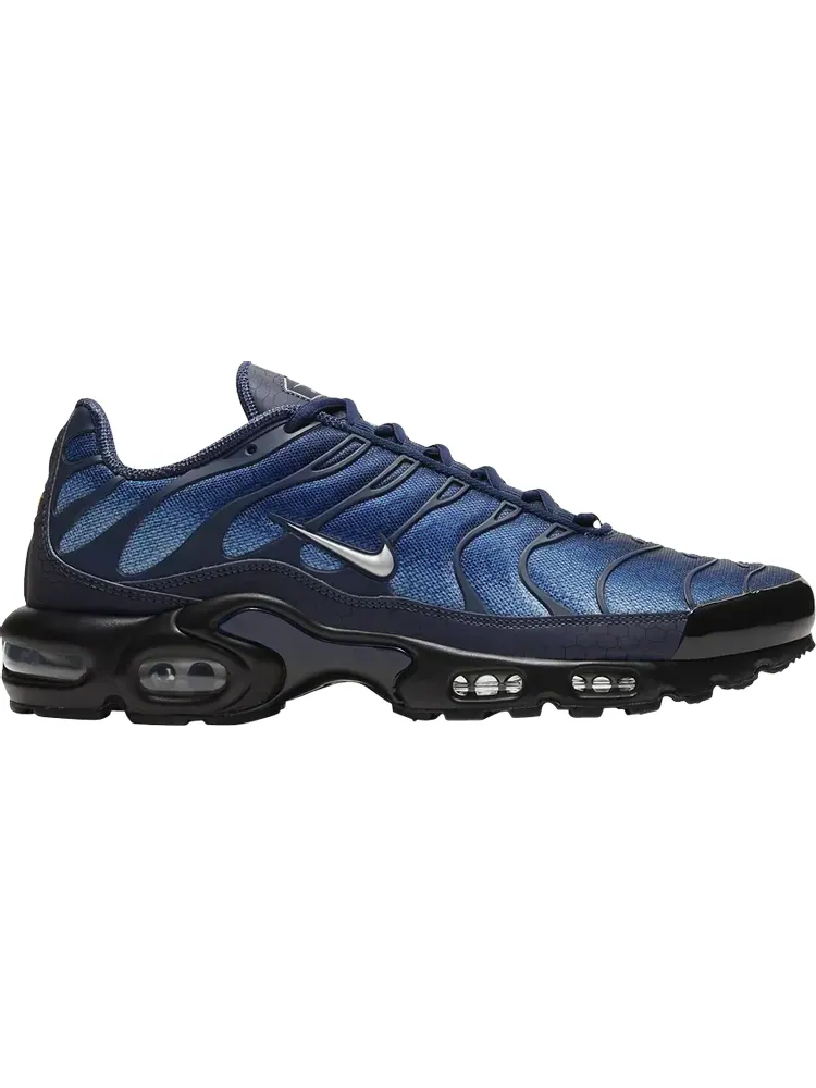 Кроссовки Nike Air Max Plus — изображение 1 из 1, синий
