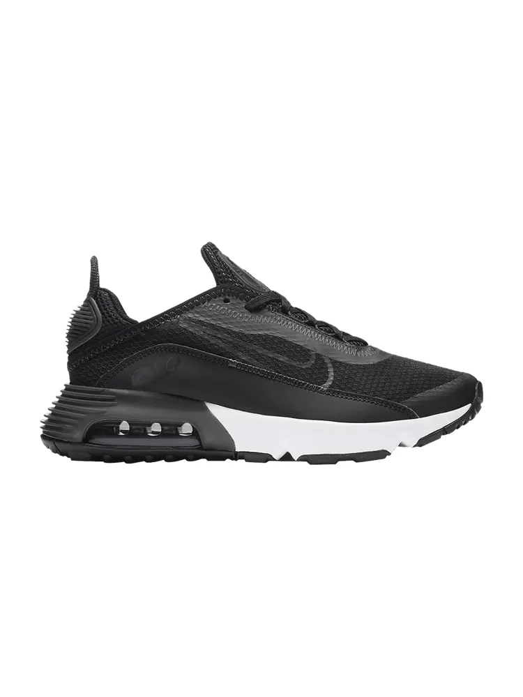 Кроссовки Air Max 2090 'Black Wolf Grey' — изображение 1 из 1, черный серый