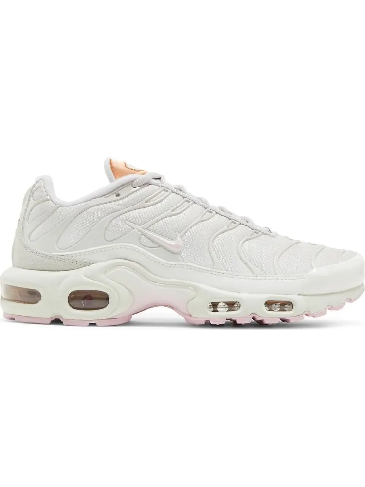 Кроссовки Nike Wmns Air Max Plus 'Vast Grey Metallic Copper' — изображение 1 из 8, серый