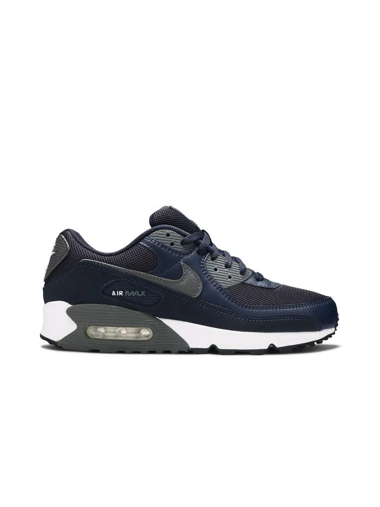 Кроссовки Nike Air Max 90 'Obsidian Iron Grey' — изображение 2 из 9, белый/серый