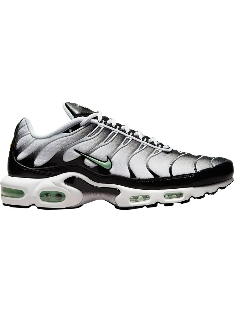Кроссовки Nike Air Max Plus 'Seafoam' — изображение 1 из 1, белый